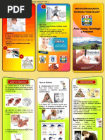 Triptico-Diabetes PDF