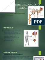 Farmacos Del Aparato Renal