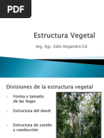 Presentacion Estructura Vegetal