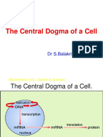 The Central Dogma of A Cell: DR S.Balakrishnan, PHD.