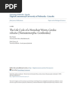 The Life Cycle of A Horsehair Worm, Gordius: Robustus (Nematomorpha: Gordioidea)