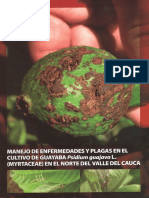 Enfermedades de La Guayaba