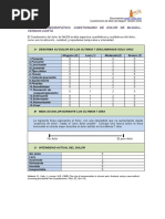 Dolor Neuropatico. Cuestionario de Dolor de Mcguill-Version Corta