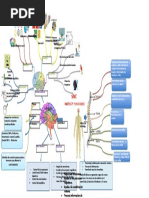 Mapa Mental de Sistema Nervioso