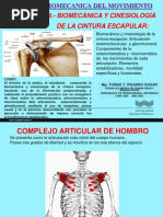 4 Biomecanica Hombroglenoidea PDF