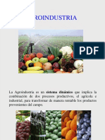 4 Agroindustria PDF