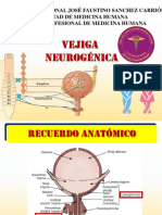 Vejiga Neurogenica