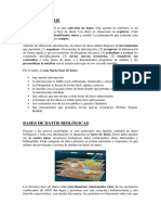 Base de Datos (Primaria y Secundaria)