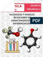 Informe Quimica Organica