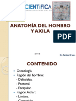 Anatomía Del Hombro y Axila 2018