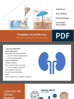 Trasplante de Medula Ósea