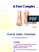 Ankle and Foot Complex