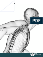 El Sistema Fascial