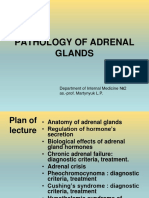 Pathology of Adrenal Glands.