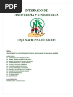 Internado de Fisioterapia Y Kinesiologia: Tema