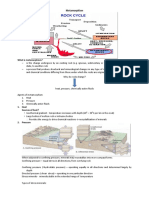 Metamorphism Reviewer