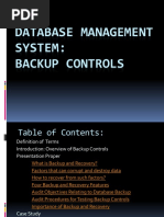 Database Management System: Backup Controls