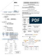 Resumen Como Interpretar Una Gasometria