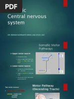 Motoric Central Nervous System: Dr. Ridwan Harrianto MHSC (Om) SP - Ok, Pak