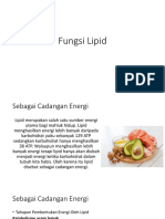 Fungsi Lipid