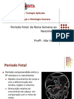 Período Fetal