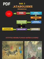 Heterotrop: Materi Cahaya