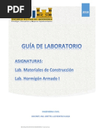 Guia de Lab Civil