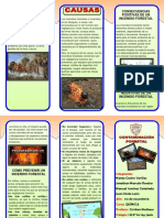 Triptico Contaminacion Forestal