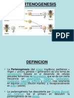 Partenogenesis Clase