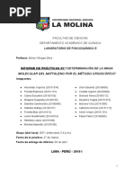 Informe 1