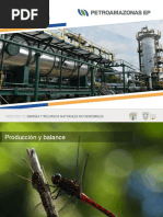 Petroamazonas EP Indicadores de Gestion Julio 2019