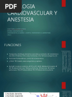 1 Fisiologia Cardiovascular y Anestesia 160218021408