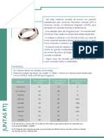 Juntas RTJ PDF