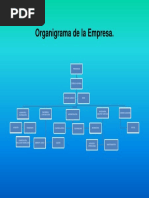 3-Organigrama Viga PDF