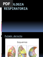 0 Semiologia Respiratoria