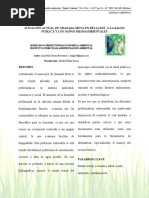 12232-Texto Del Artículo-57628-1-10-20170621 PDF