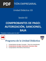 Autorizacion Comprobantes de Pago