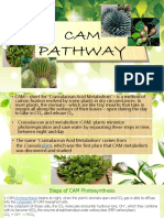 Cam Pathway