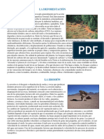 La Deforestacion y La Erosion