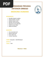 Univerasidad Privada Antenor Orrego1