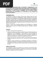 Procedimiento de Arreo de Botes