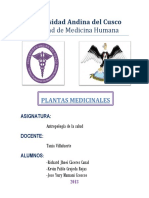 Plantas Medicinales