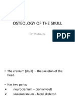 Osteology of The Skull: DR Mutauza