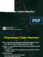 PCR