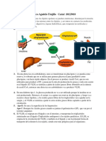 Solucion de Un Taller de Bioquimica