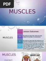 Grade 7 - Science - Muscles