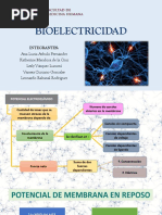 Bioelectricidad - Seminario 11