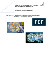 Práctica No. 4. Observación e Identificación Macroscópica de Bacterias y Hongos Del Ambiente