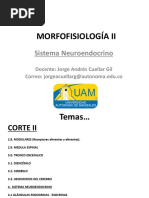 Sistema Neuroendocrino UAM PDF