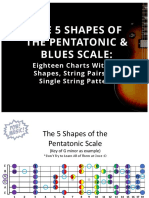 The 5 Shapes of The Pentatonic Scale and Which To Learn First